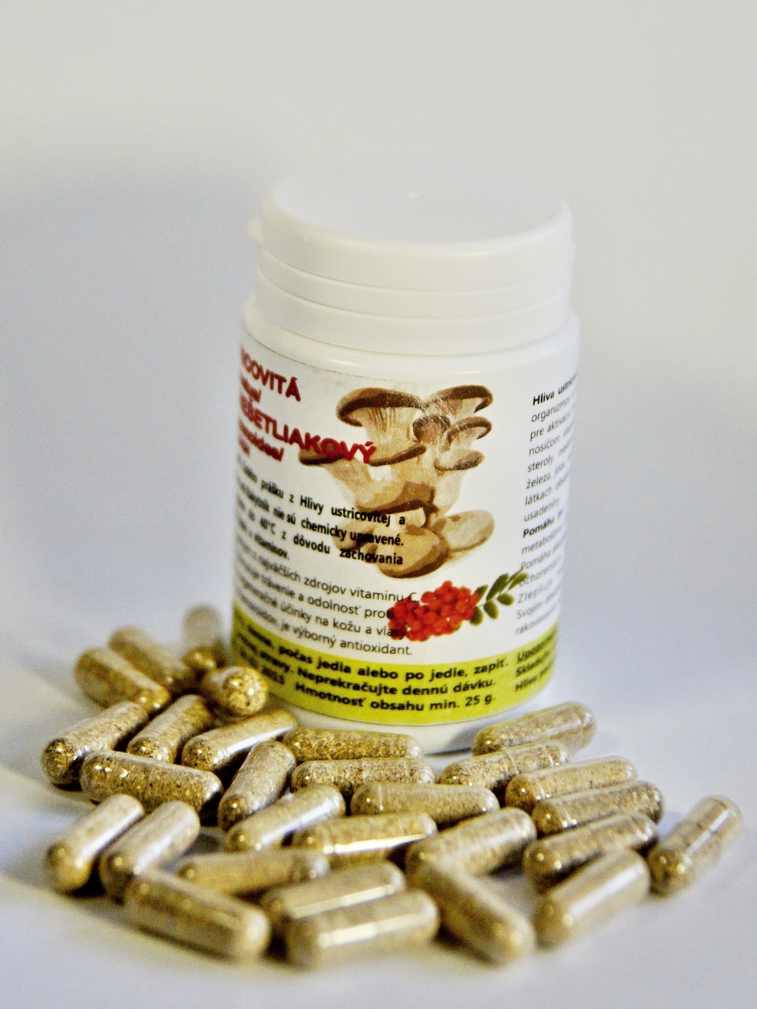 Šampión sušený prášok 100g