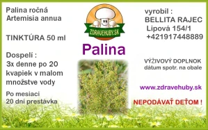 Palina ročná - kvet
