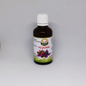 Pľúcnik lekársky - list