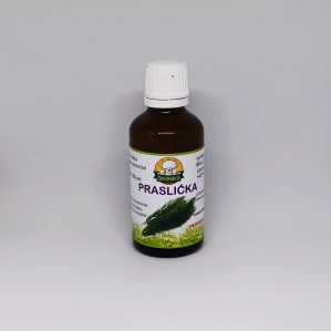 Praslička roľná - stonky