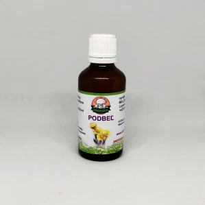 Podbeľ liečivý - kvet