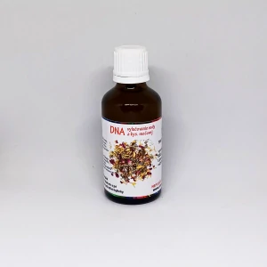 DNA - vylučovanie vody a kys. močovej