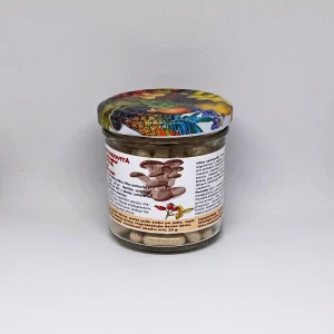 Hliva ustricovitá + Ruža šípková - šípky - kapsuly 90 ks