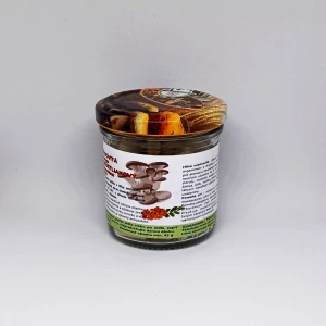 Hliva ustricovitá + Rakytník rešetliakovitý  kapsuly 90 ks