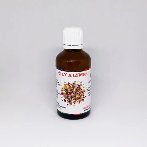 ŽILY A LYMFA