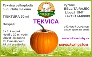 Tekvica