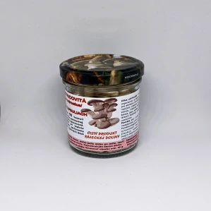 Hliva ustricovitá kapsuly 90 ks