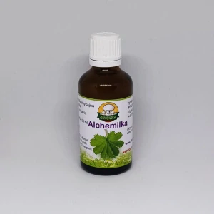 Alchemilka obyčajná -  kvet
