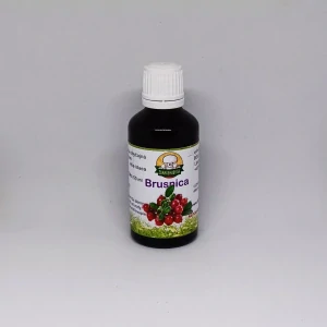 Brusnica obyčajná - plod