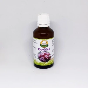 Deväťsil lekársky -  kvet