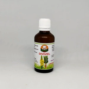 Divozel veľkokvetý -  kvet