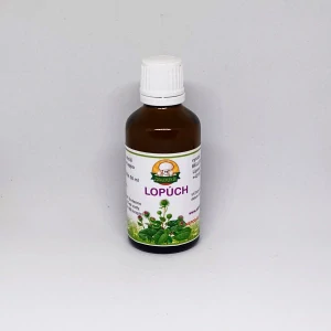 Lopúch väčší -  koreň a list